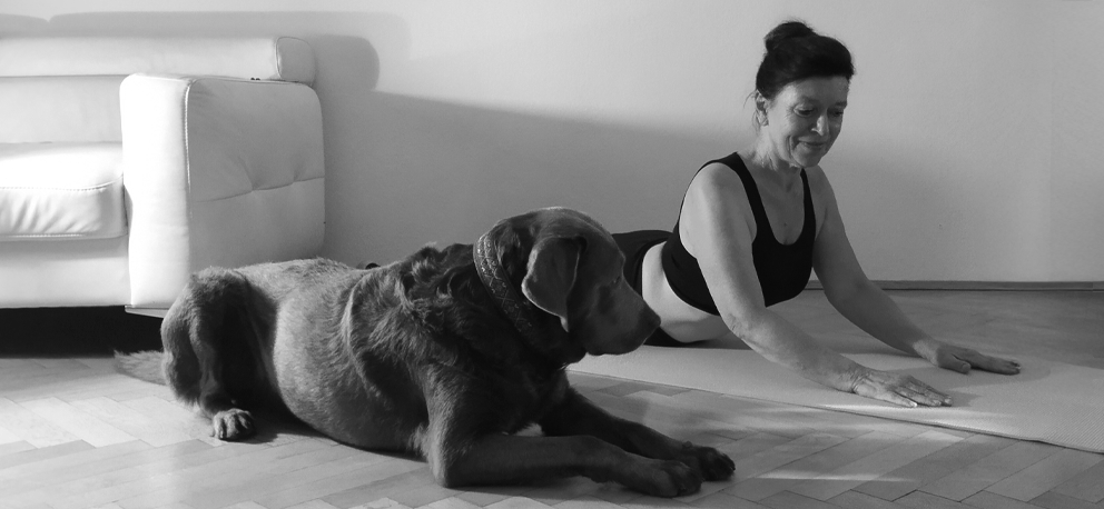 Yoga in Leipzig-Gohlis im Makerspace
Yoga - Dein Weg zu Dir